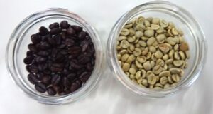 15 コーヒー豆の加工前後