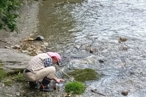 地点①-3_飯高町森の生き物を採集2