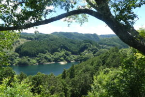 ㉖会場から見た「ダム湖」