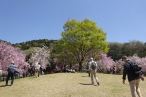 16 小高い丘で昼食