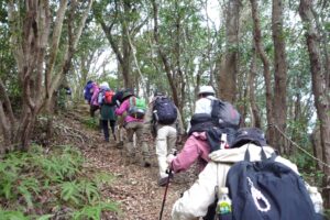 21_この急登を越えると、横山・山頂です