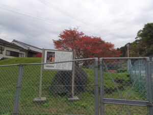 ②コロコロ古墳（宅地開発で移設、内部に入れます）