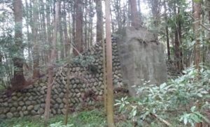 10 林の中に橋台が