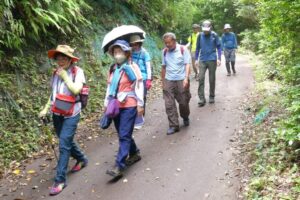 18_一度登って、しろんご浜に下ります!