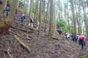 11_勾配が､きつくなってきました