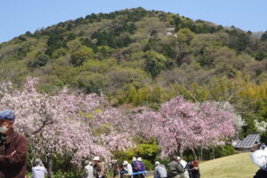 22 公園より東谷山を望む