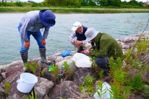 地点⑥-5_水を採取して測定中!