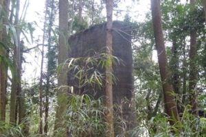 09 林の中に橋脚が