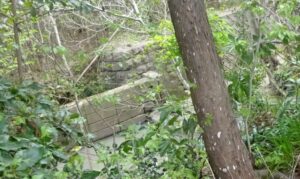 05 相川橋梁遺構