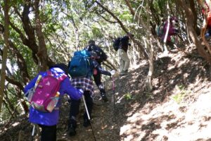 07_こんな山道を178m登ってゆきます