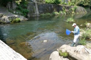 名張・地点①-1_夏見地区・宮橋で採集