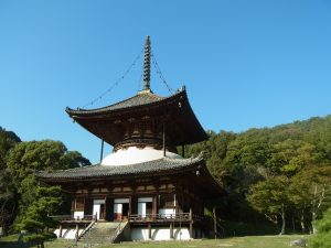 根来寺_大塔
