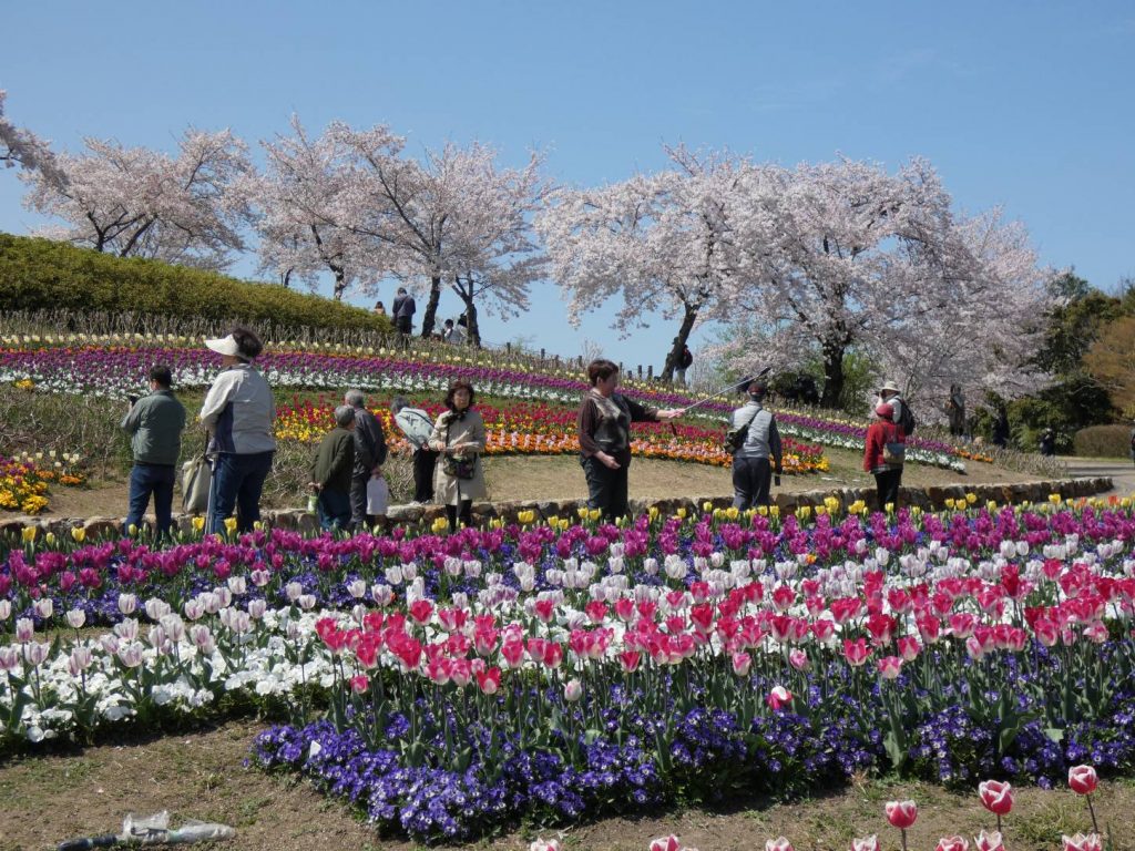 馬見＆竹取公園