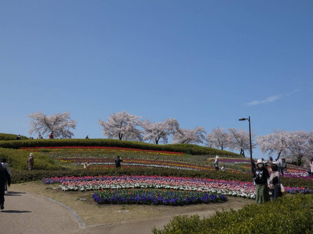 馬見＆竹取公園