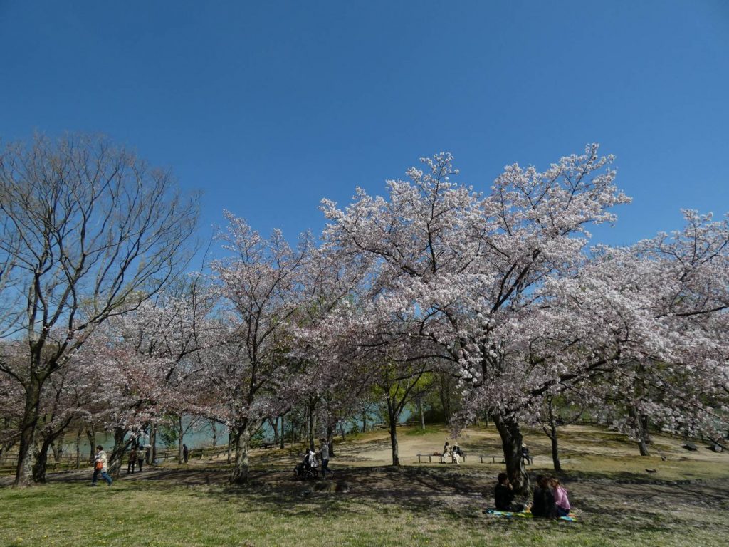 馬見＆竹取公園