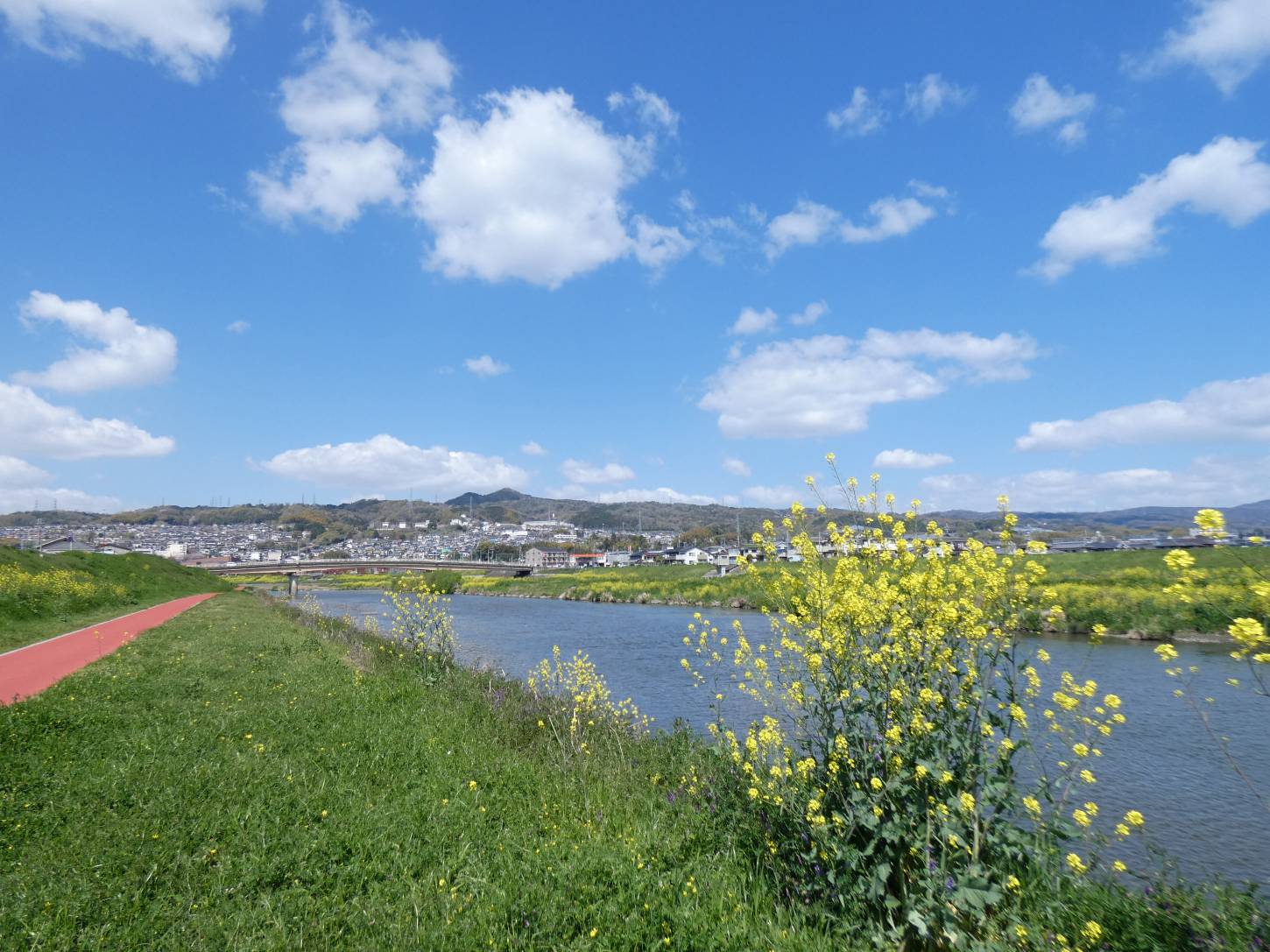 王寺　大和川河畔からの信貴山