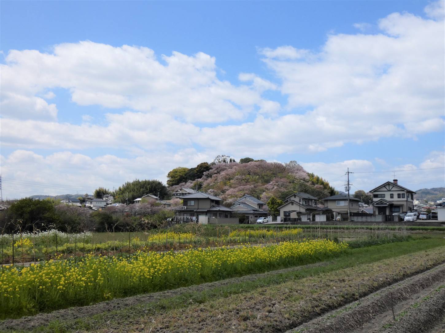 神南地区からの三室山