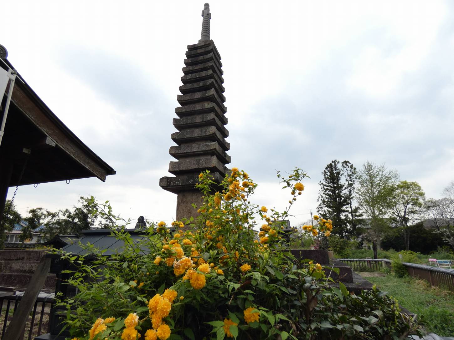 ヤマブキの咲く般若寺へ