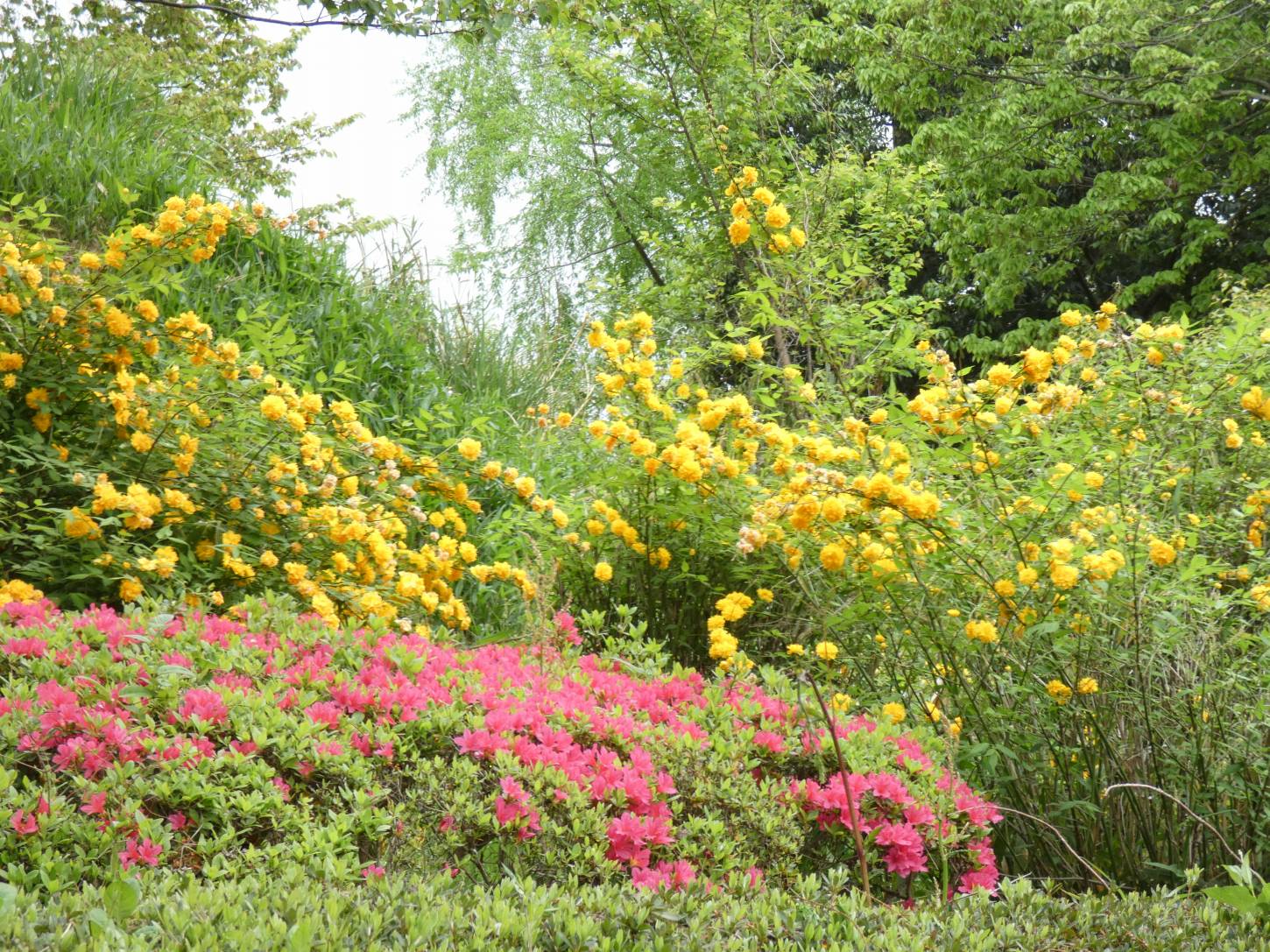 奈良民俗博物館