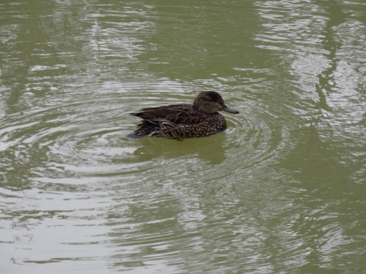 奈良民俗博物館
