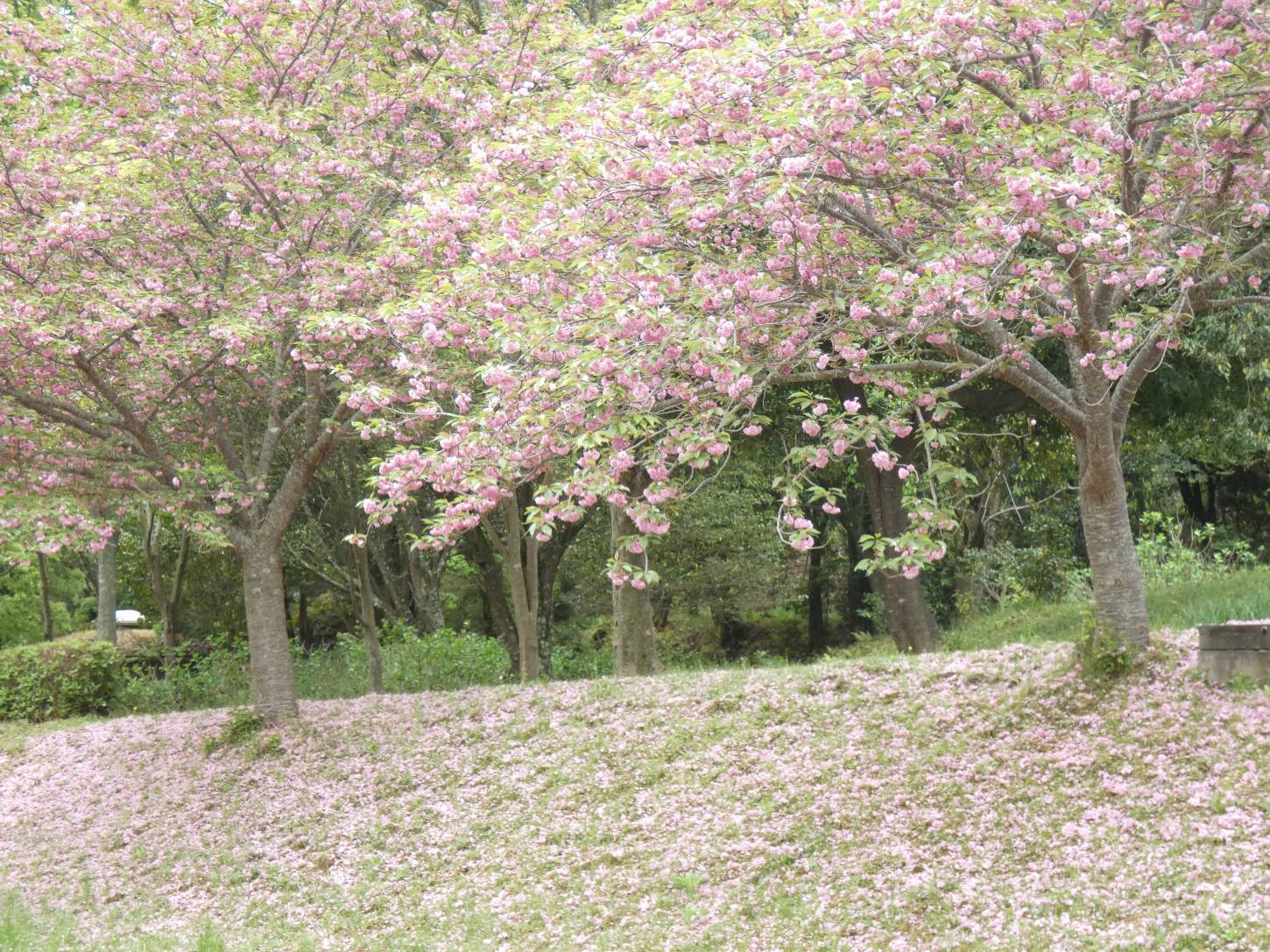 奈良民俗博物館