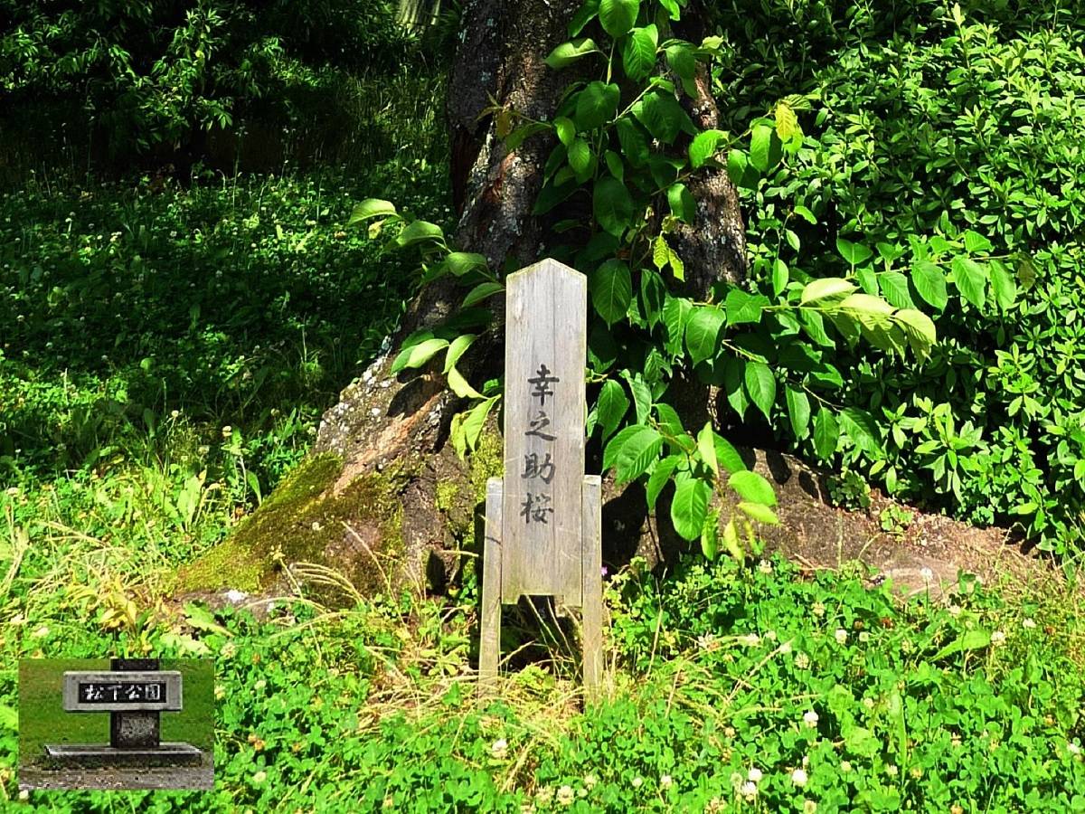 和歌山市 松下公園