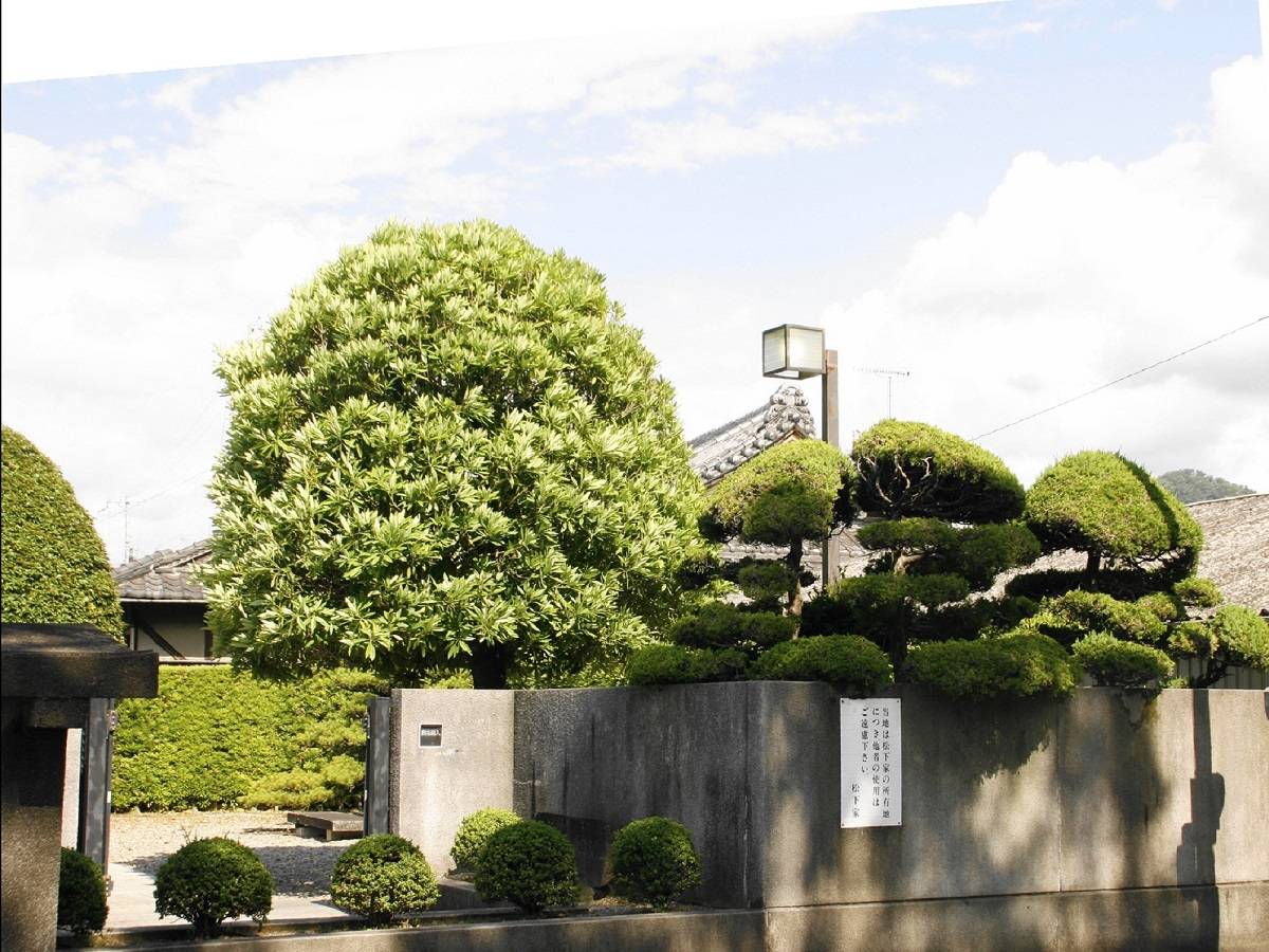 和歌山市 松下公園