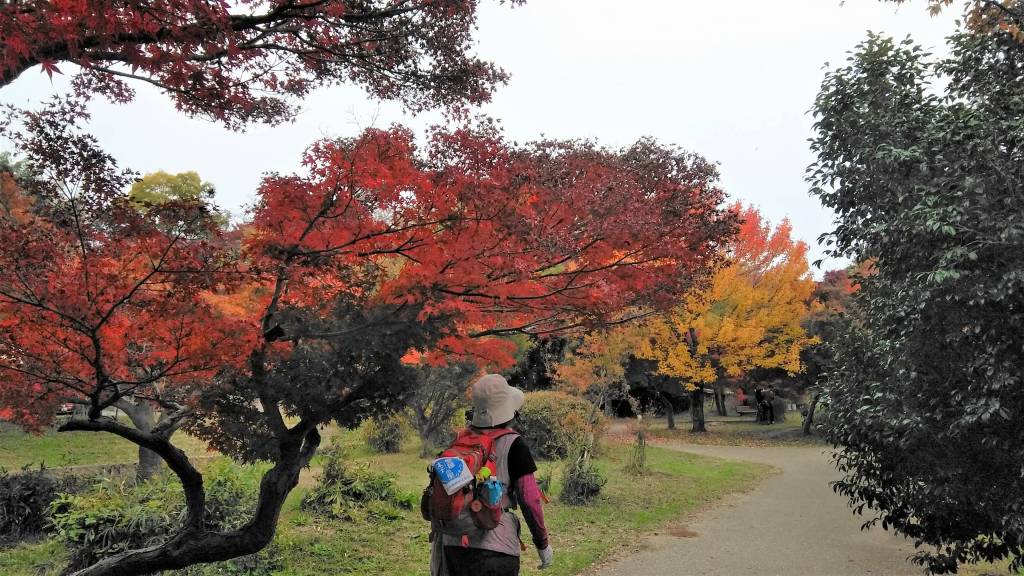 聖徳太子の里 ツーデーウオーク