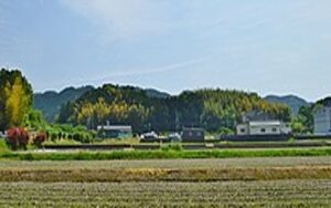 山本さんの歴史探訪