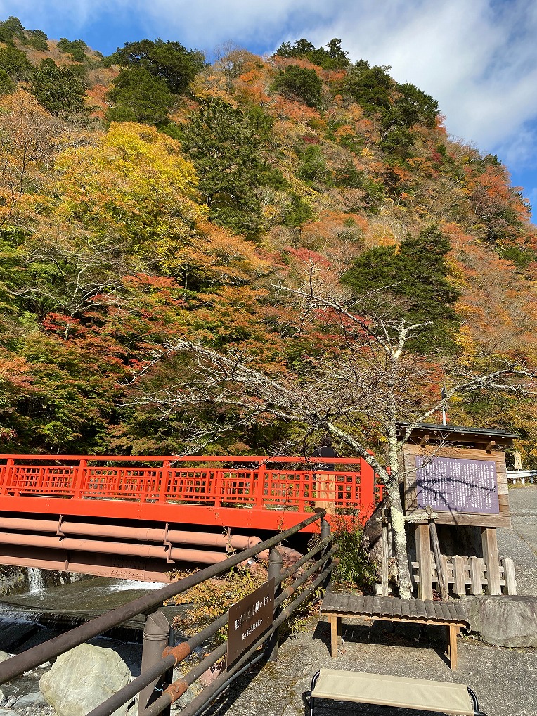 行ってきました、家康公ゆかりの地