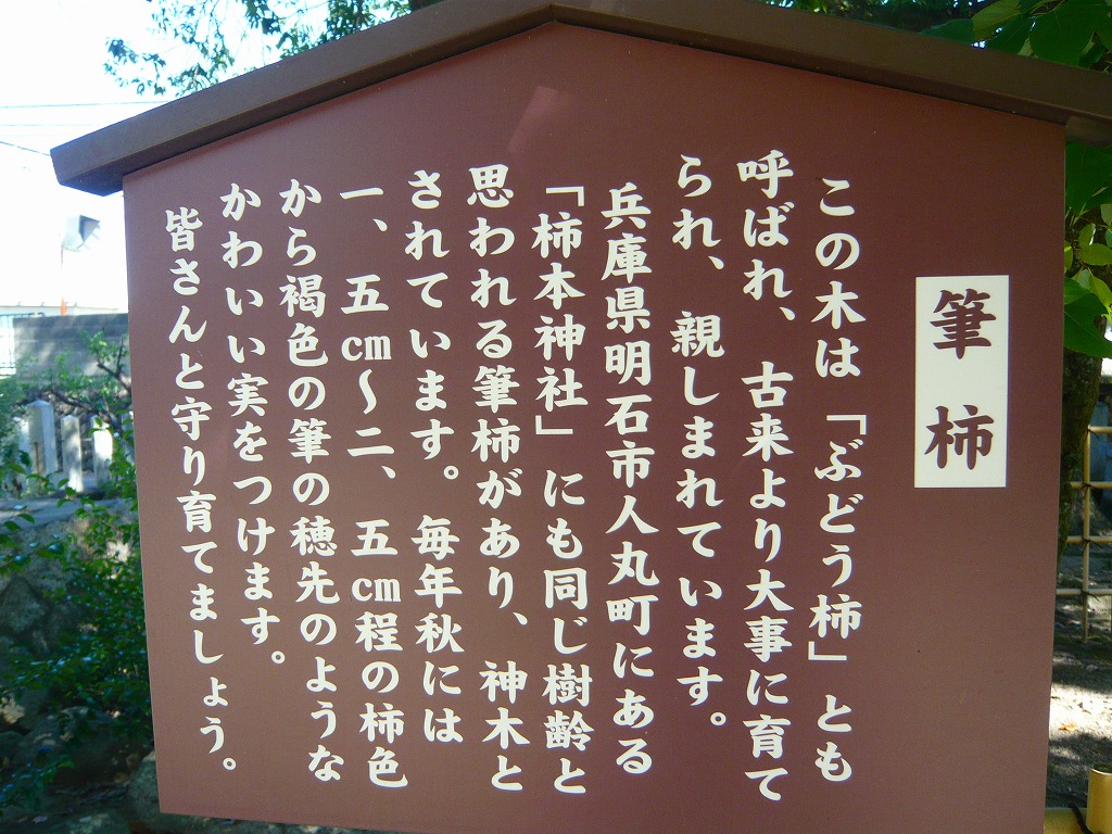 山本さんの歴史探訪
