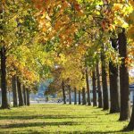 奈和女子会かがやき