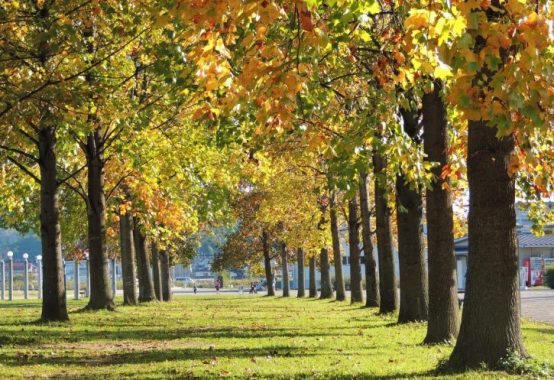 奈和女子会かがやき