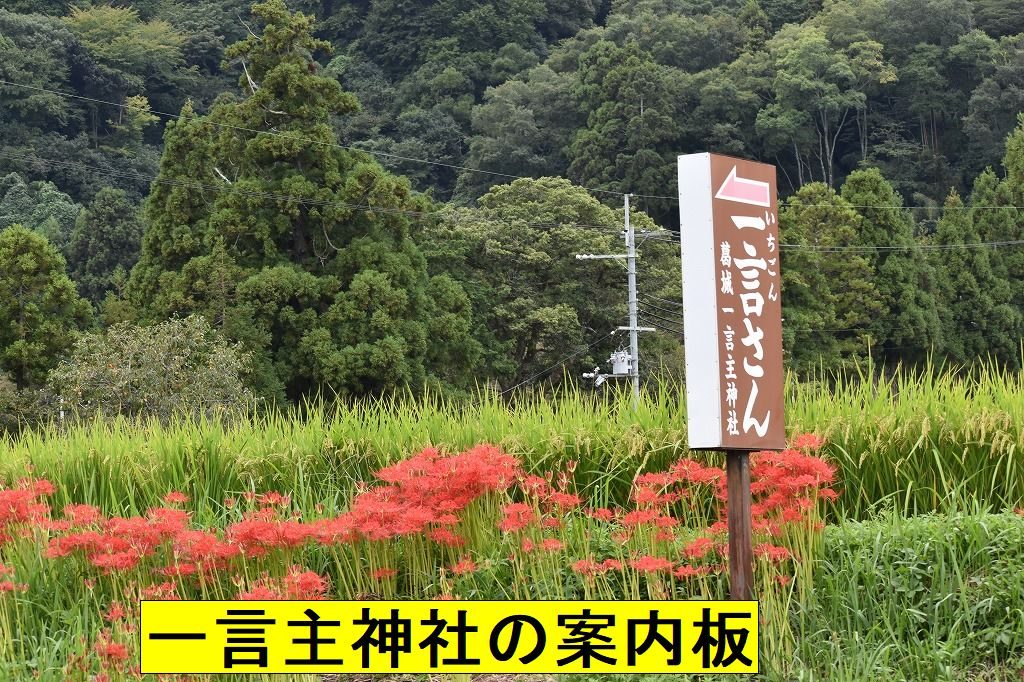 一言主神社と九品寺