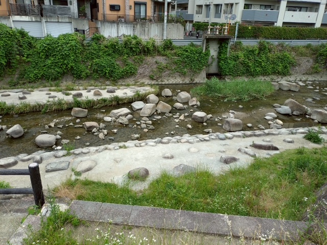 当日の千里川の状態