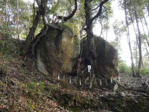 やや斜めから見てみる