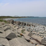 鳴り石の浜全景(2025)