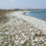 鳴り石の浜全景
