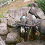 道路沿いの湧き水