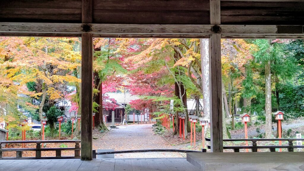 「日吉大社秋の境内」小寺 定基