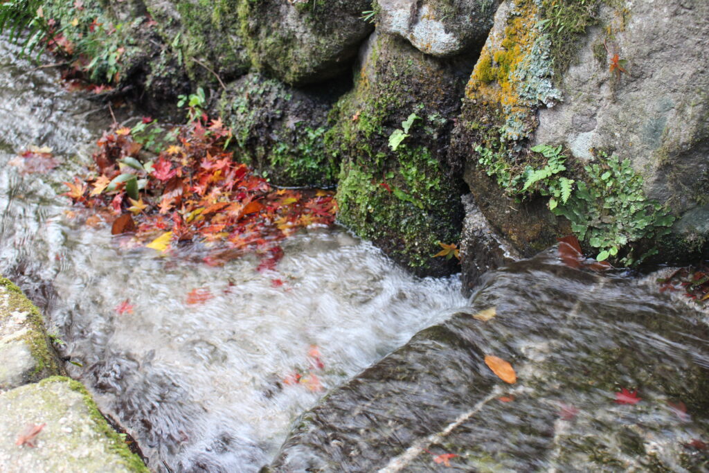 「川の流れのように」福西まさ子