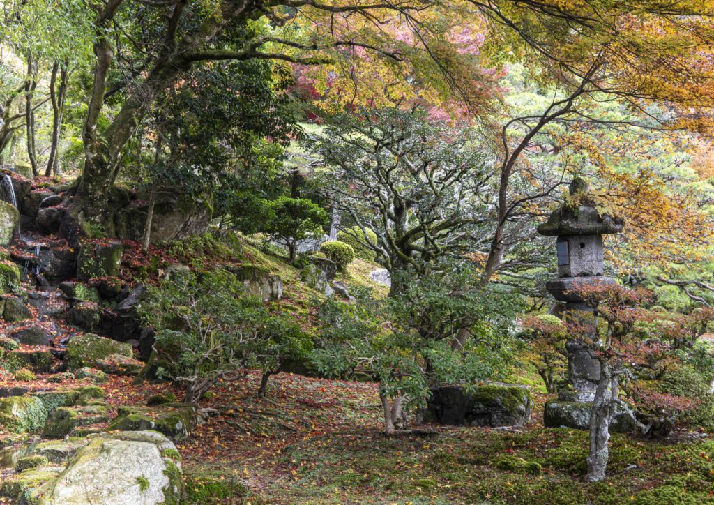 「万色」藤井 勝