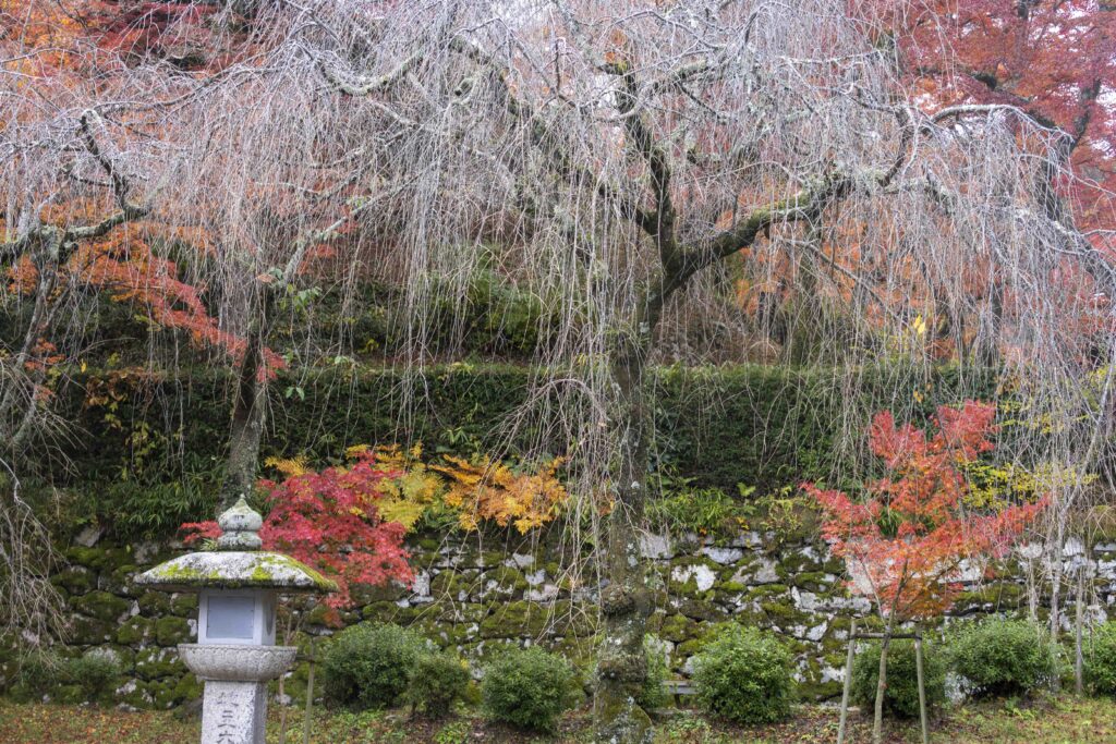 「穴太衆の夢」藤井 勝