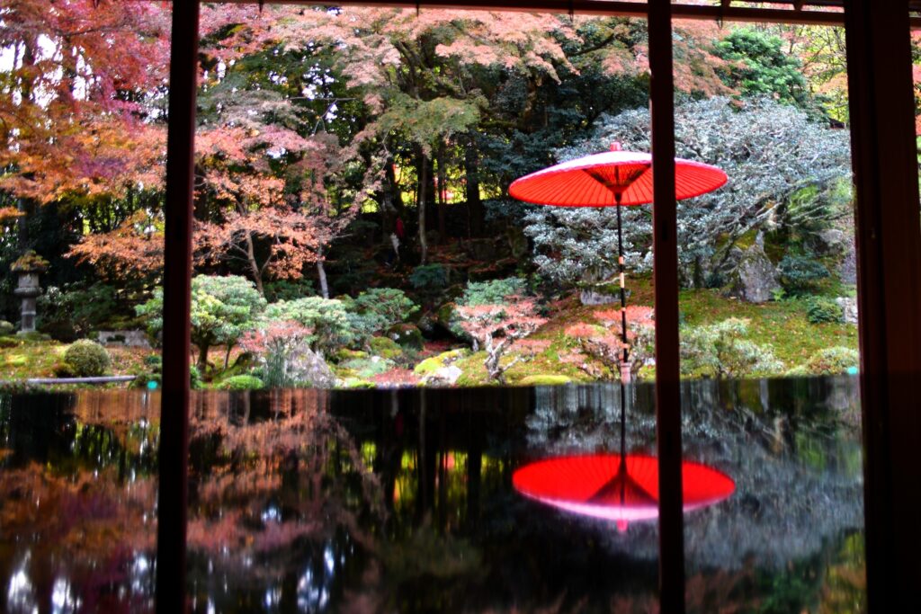 「紅葉庭園リフレクション」菊川 勝彦