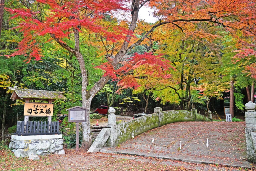 日吉大社 紅葉」橋本 進