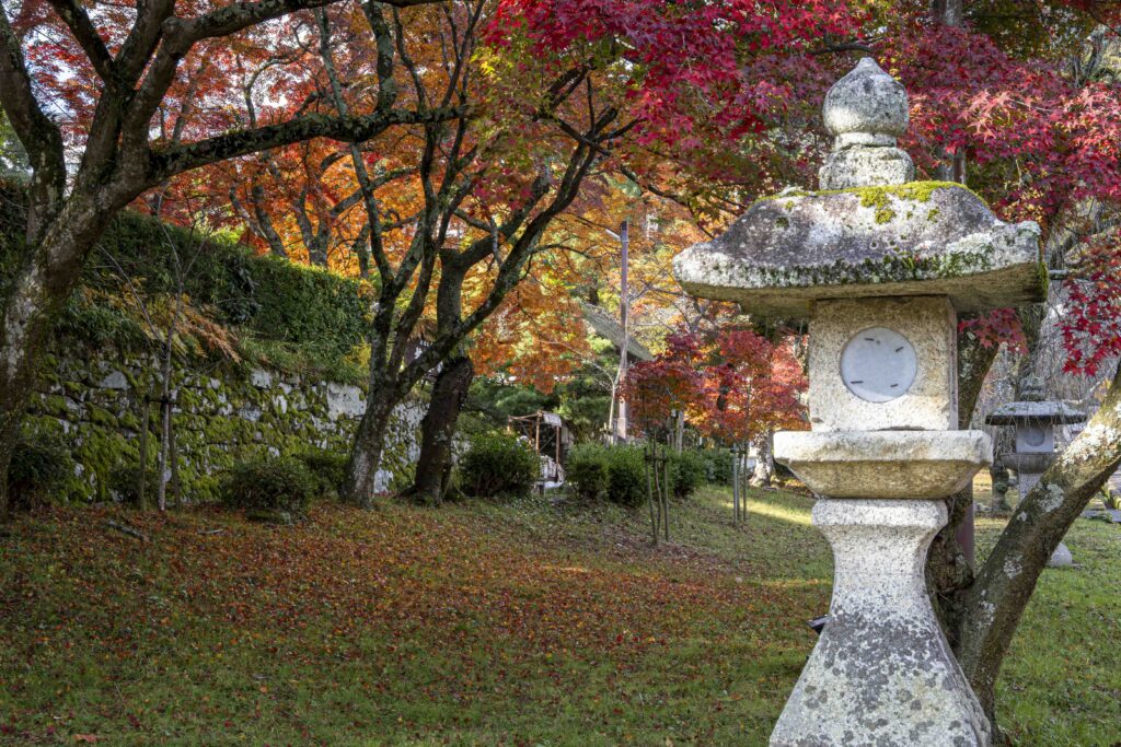 「秋光」藤井 勝
