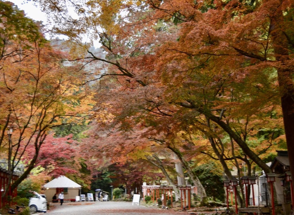 「表参道」吉川 達夫