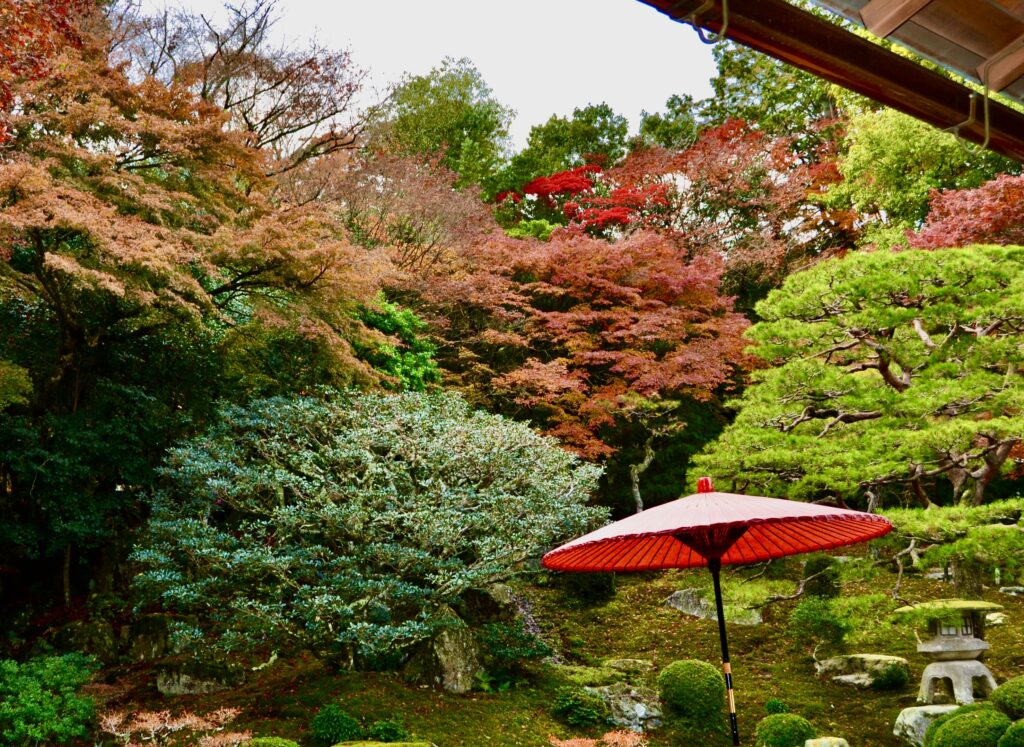 「より紅く」吉川 達夫