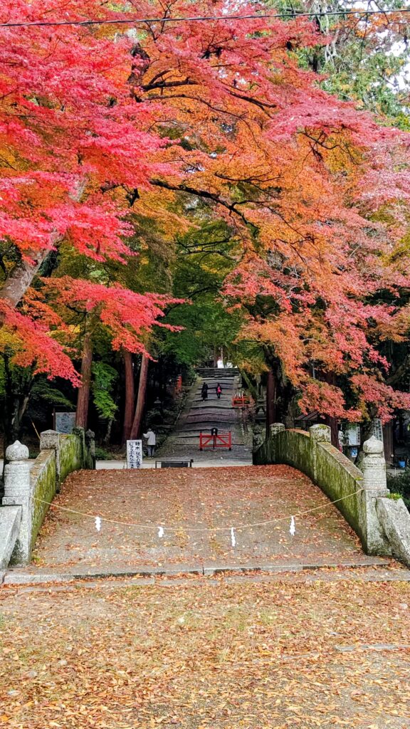 「紅葉の日吉三橋」小寺定基