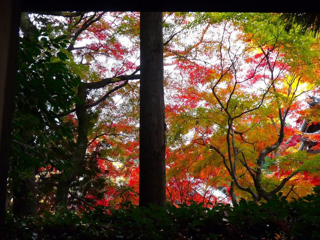 「トイレの窓から」今村 高